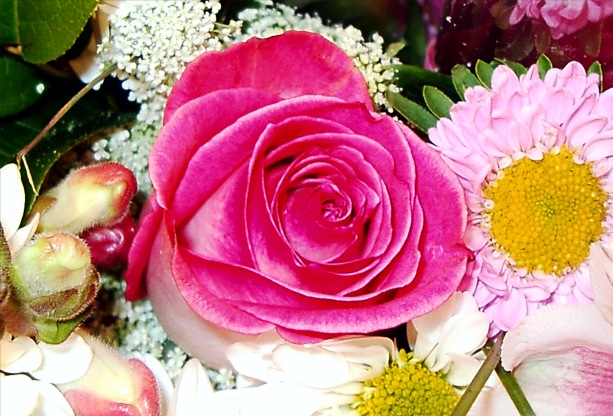 Pink rose In Bouquet