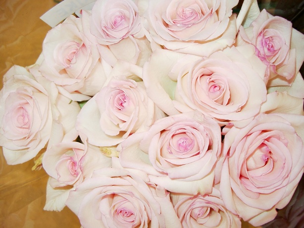 Blushed Roses Picture