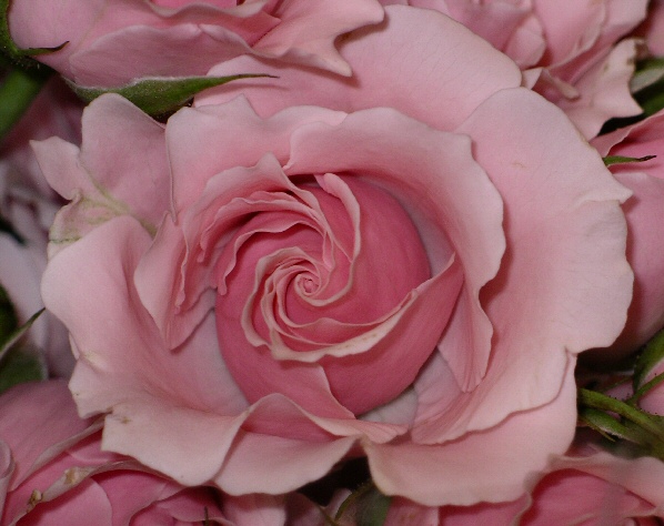 IMGP2149.jpg