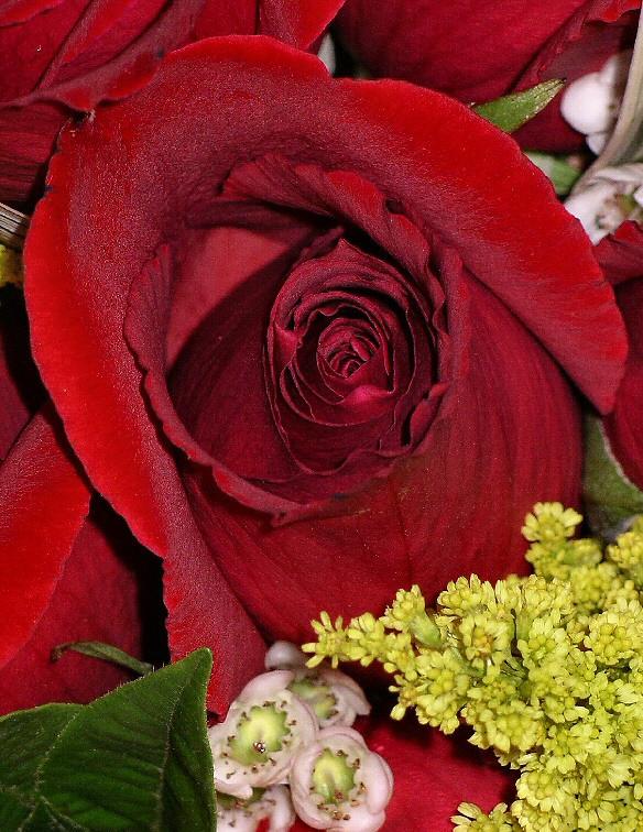 IMGP2469.jpg